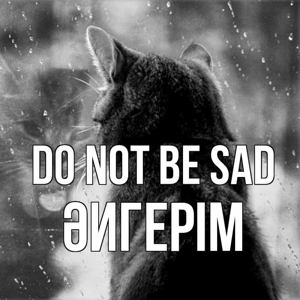 Greetings card с именем, ӘИГЕРІМ Do not be sad отражение кота 1 Greetings with text for free download 