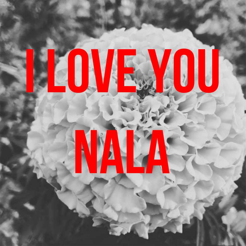 Greetings card с именем, Nala I love you подпись Greetings with text for free download 