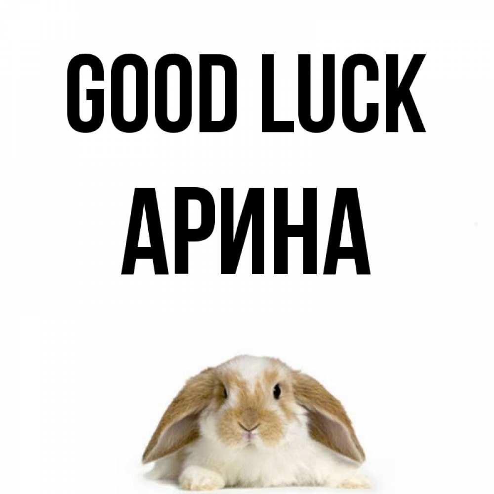 Greetings card с именем, Арина Good luck открытки с произвольным текстом который можно вставить в открытку и создать ее самостоятельно бесплатно онлайн Greetings with text for free download 