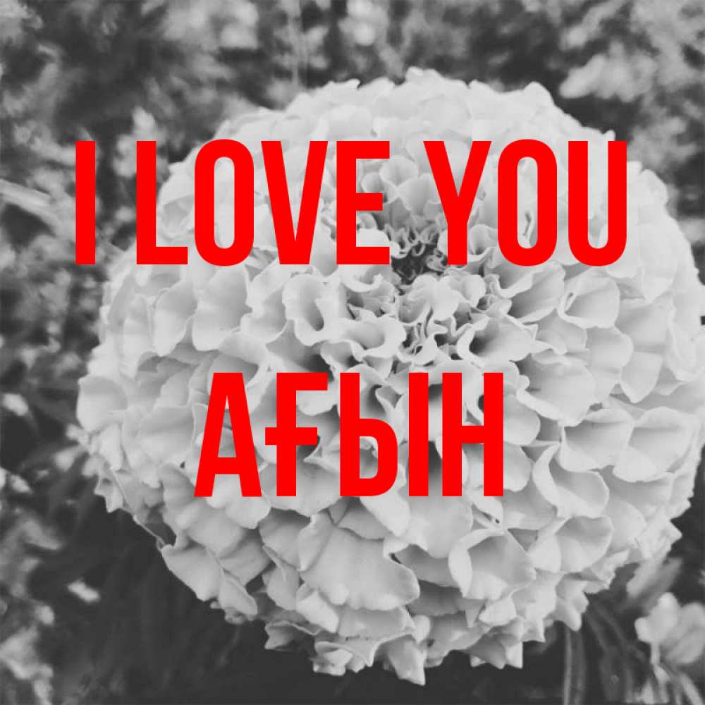 Greetings card с именем, Ағын I love you подпись Greetings with text for free download 
