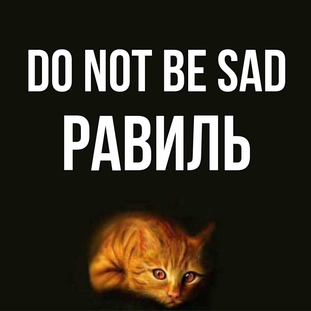Greetings card с именем, Равиль Do not be sad лежащий кот в темноте Greetings with text for free download 