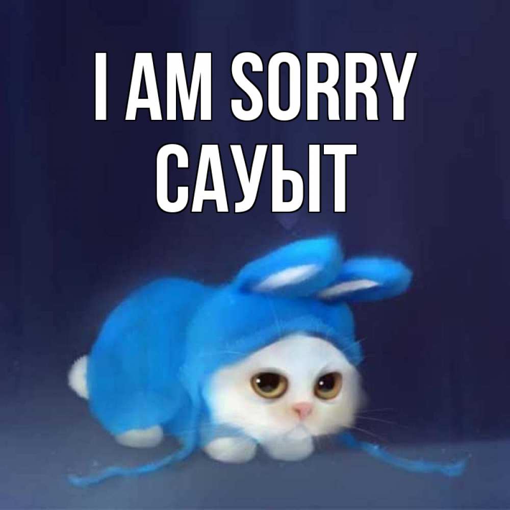 Greetings card с именем, САУЫТ I am sorry невинный котозай просит прощения Greetings with text for free download 