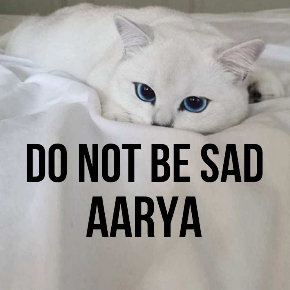 Greetings card с именем, Aarya Do not be sad Голубоглазая кошка Greetings with text for free download 