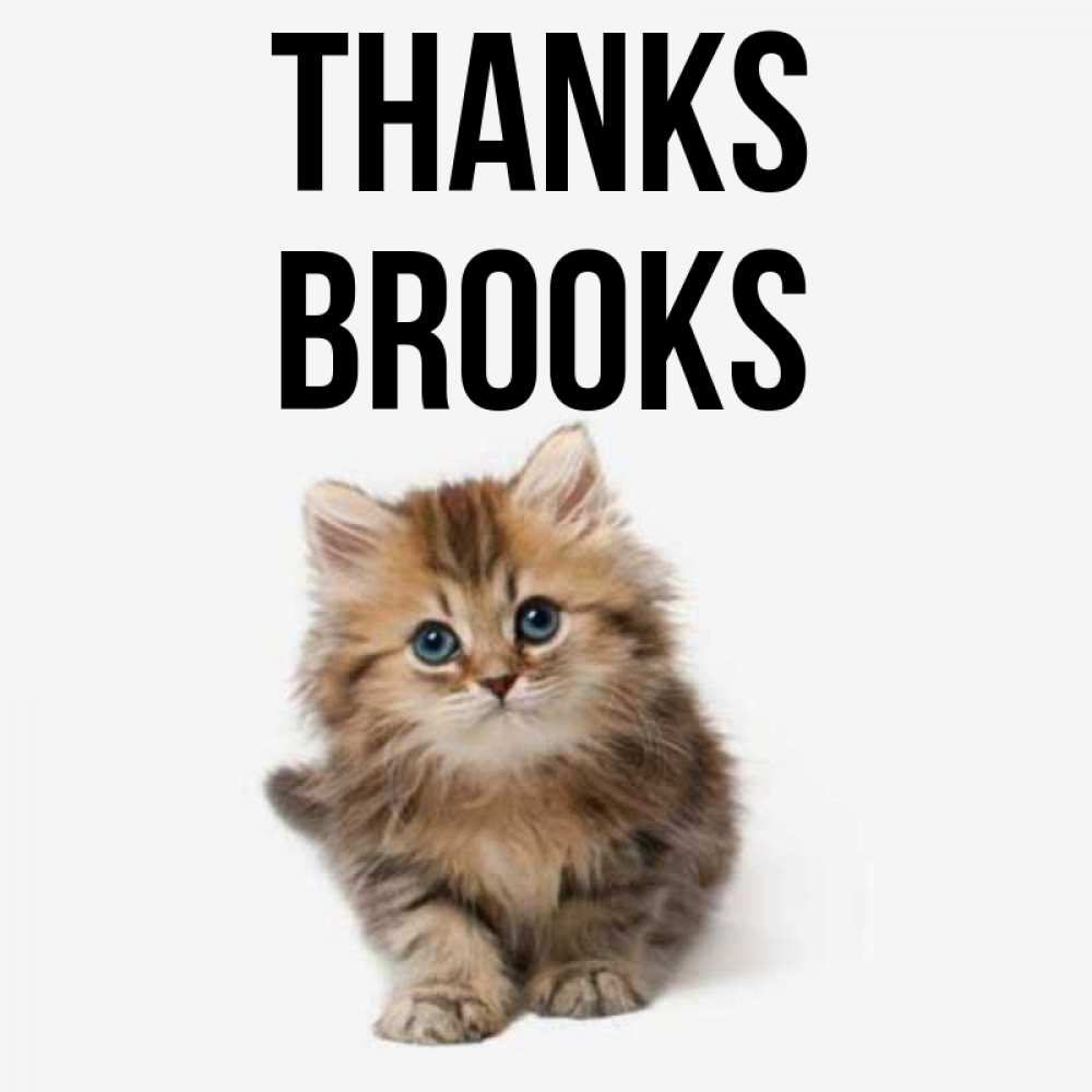Greetings card с именем, Brooks Thanks пушистый котик Greetings with text for free download 