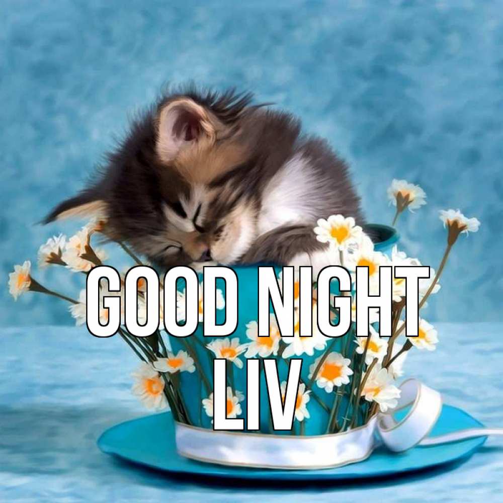 Greetings card с именем, Liv Good night котенок спит в кружке с блюдцем Greetings with text for free download 
