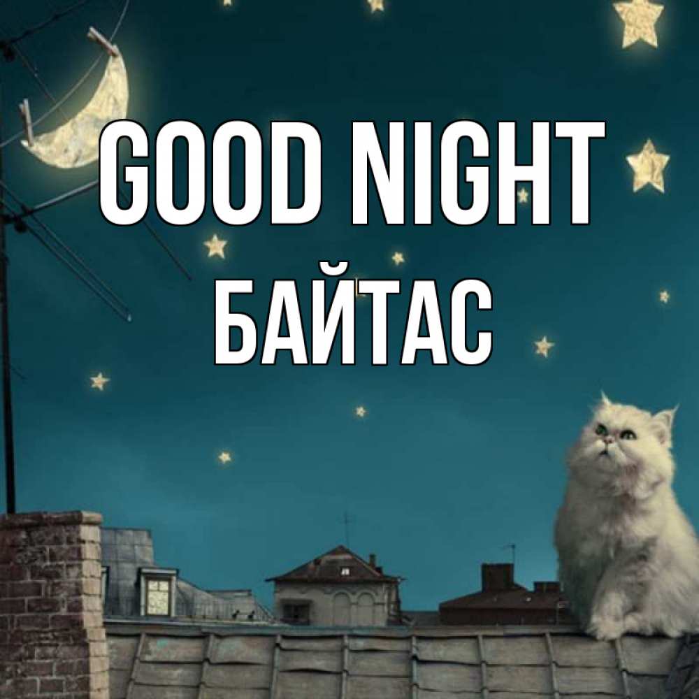 Greetings card с именем, Байтас Good night белый кот сидит на крыше Greetings with text for free download 