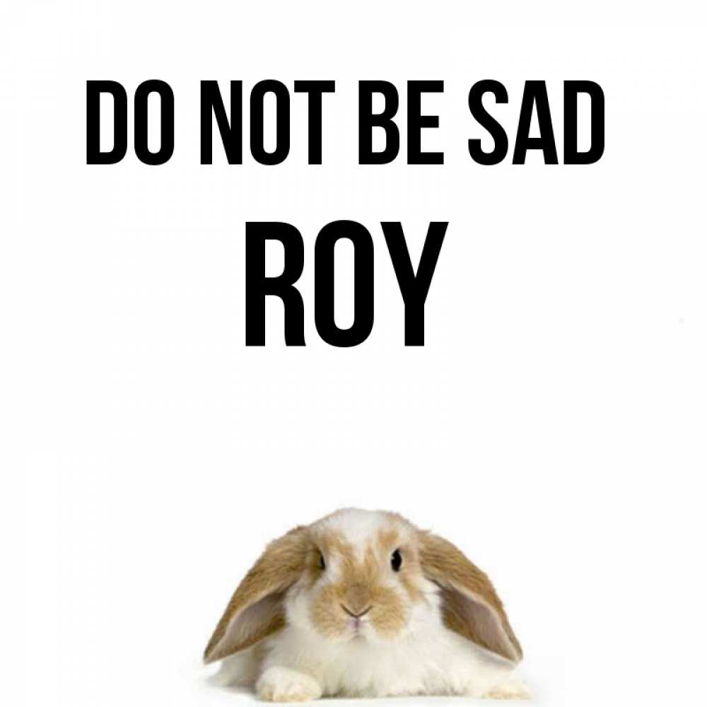 Greetings card с именем, Roy Do not be sad коричнево белый заяц с большими ушками Greetings with text for free download 