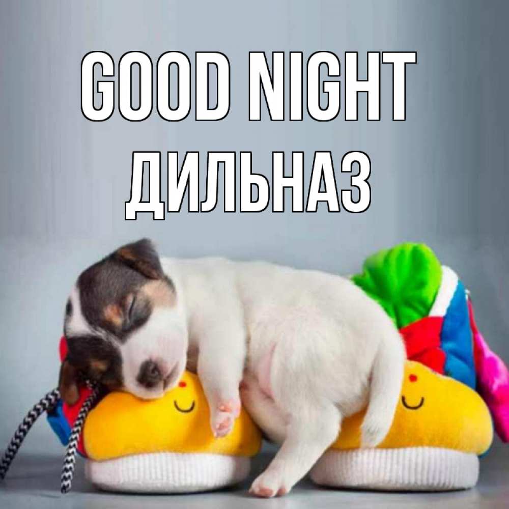 Greetings card с именем, ДИЛЬНАЗ Good night собачка Greetings with text for free download 