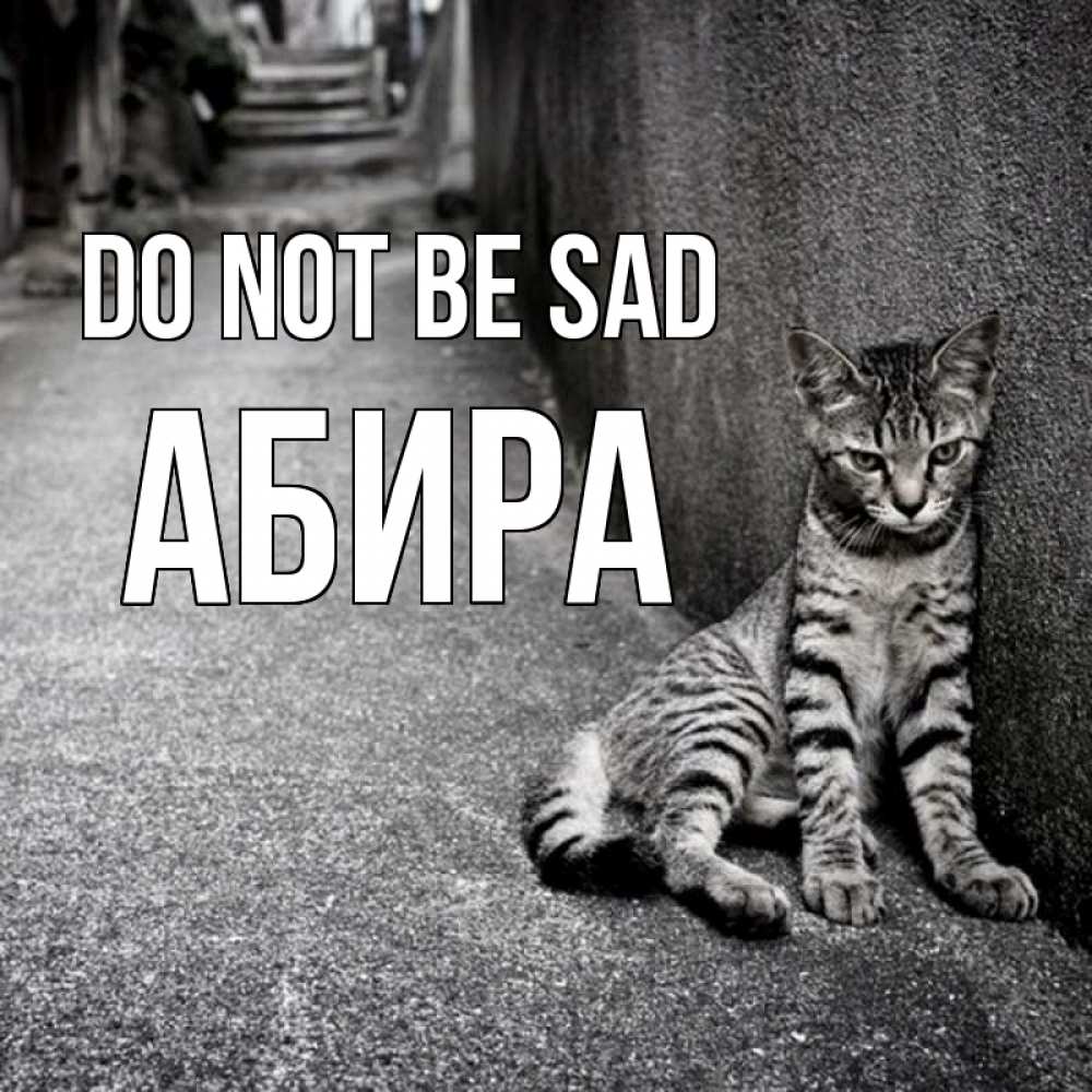 Greetings card с именем, АБИРА Do not be sad скучающий котик Greetings with text for free download 