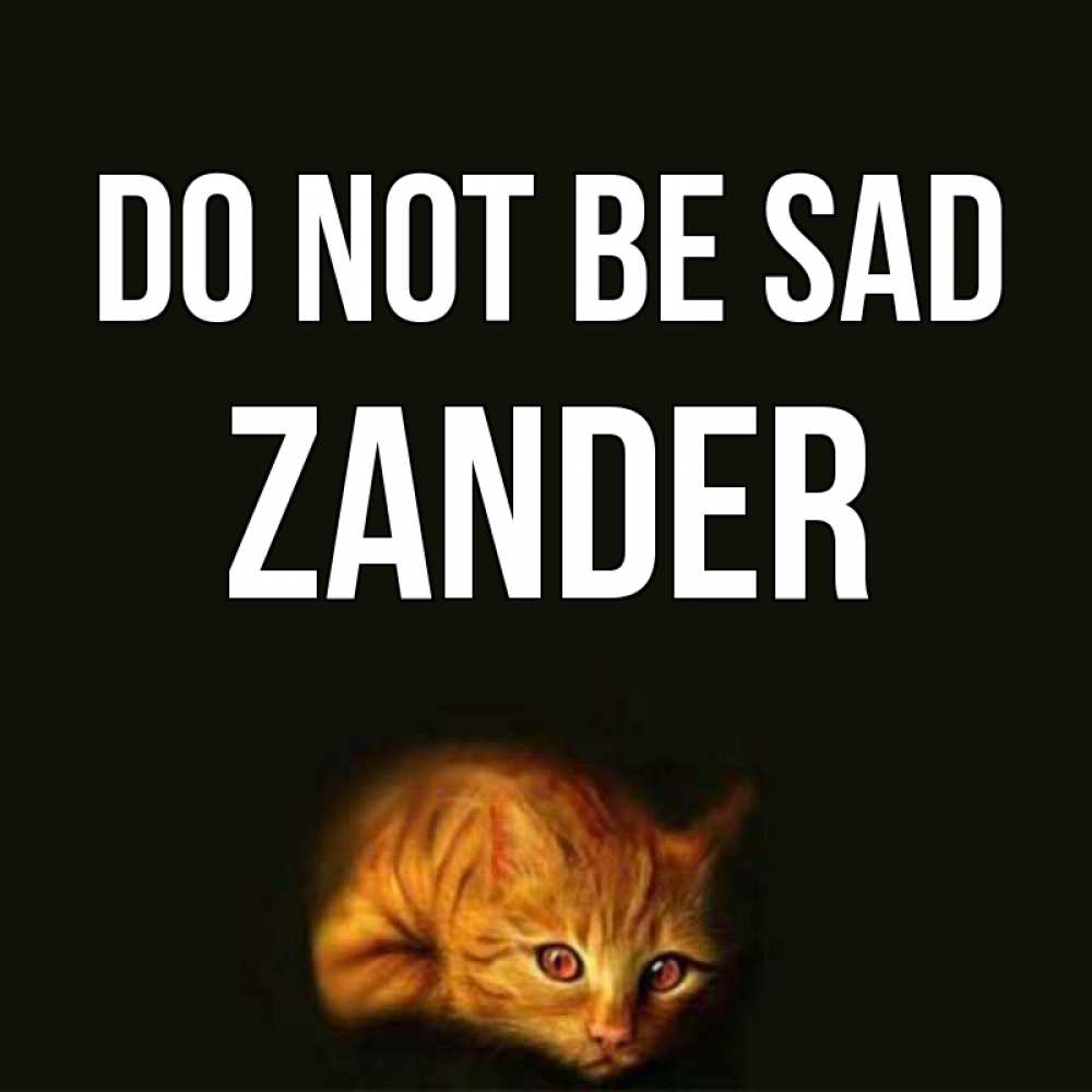 Greetings card с именем, Zander Do not be sad лежащий кот в темноте Greetings with text for free download 