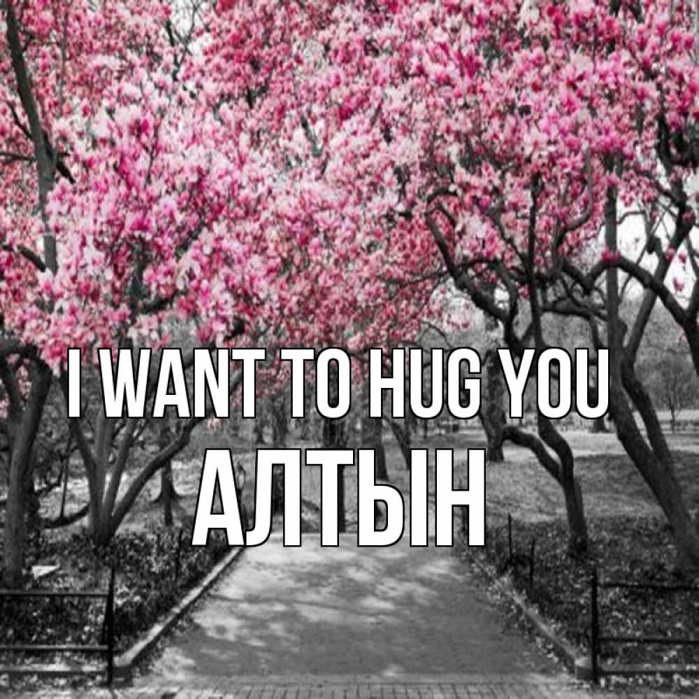 Greetings card с именем, АЛТЫН I want to hug you обработанное фото Greetings with text for free download 