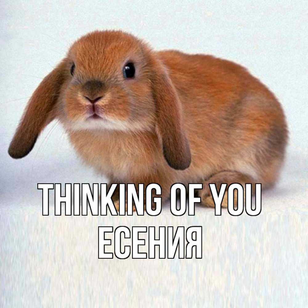 Greetings card с именем, Есения Thinking of you кроль коричневый Greetings with text for free download 