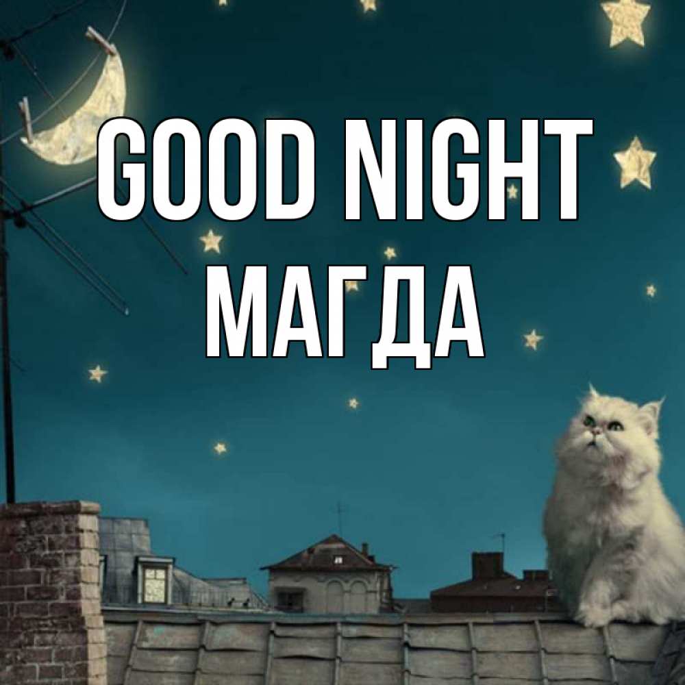 Greetings card с именем, Магда Good night белый кот сидит на крыше Greetings with text for free download 