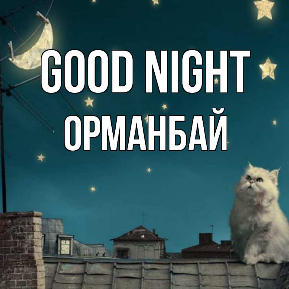 Greetings card с именем, ОРМАНБАЙ Good night белый кот сидит на крыше Greetings with text for free download 