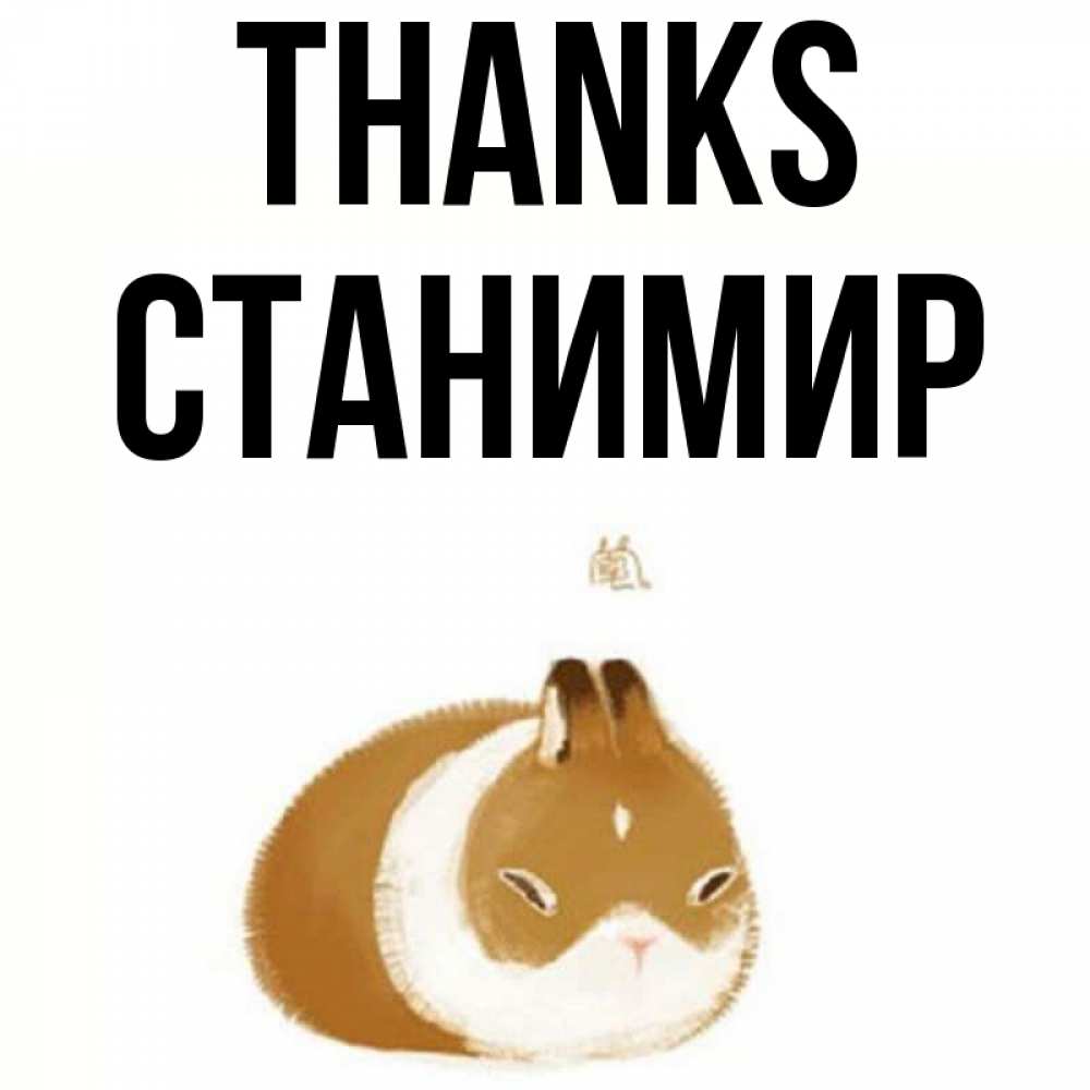 Greetings card с именем, Станимир Thanks коричнево белый домашний питомец Greetings with text for free download 