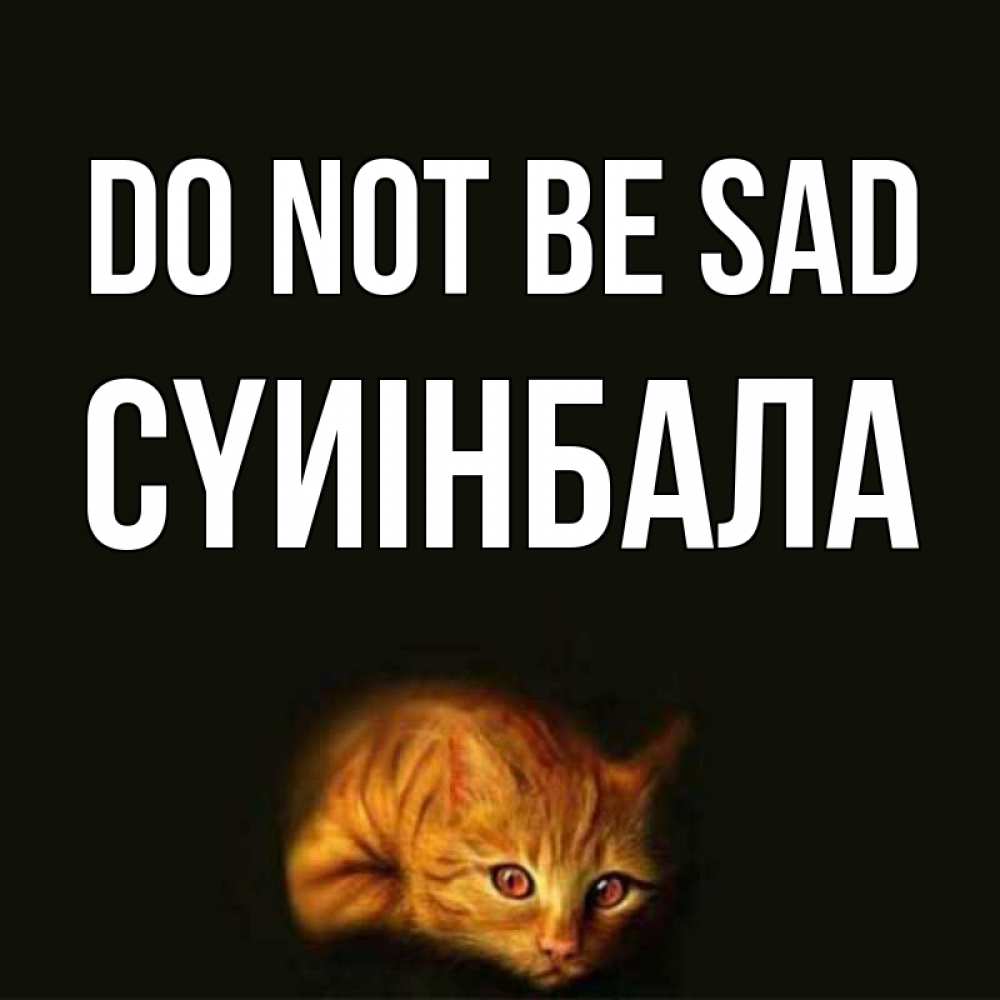 Greetings card с именем, СҮИІНБАЛА Do not be sad лежащий кот в темноте Greetings with text for free download 