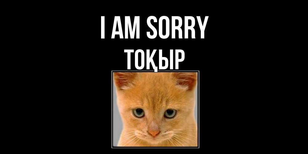 Greetings card с именем, ТОҚЫР I am sorry рыжий грустный кот просит прощения Greetings with text for free download 