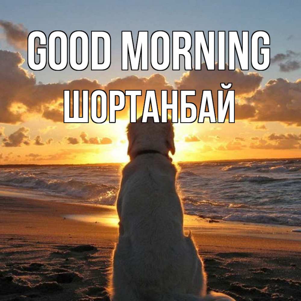 Greetings card с именем, ШОРТАНБАЙ Good morning восход солнца Greetings with text for free download 