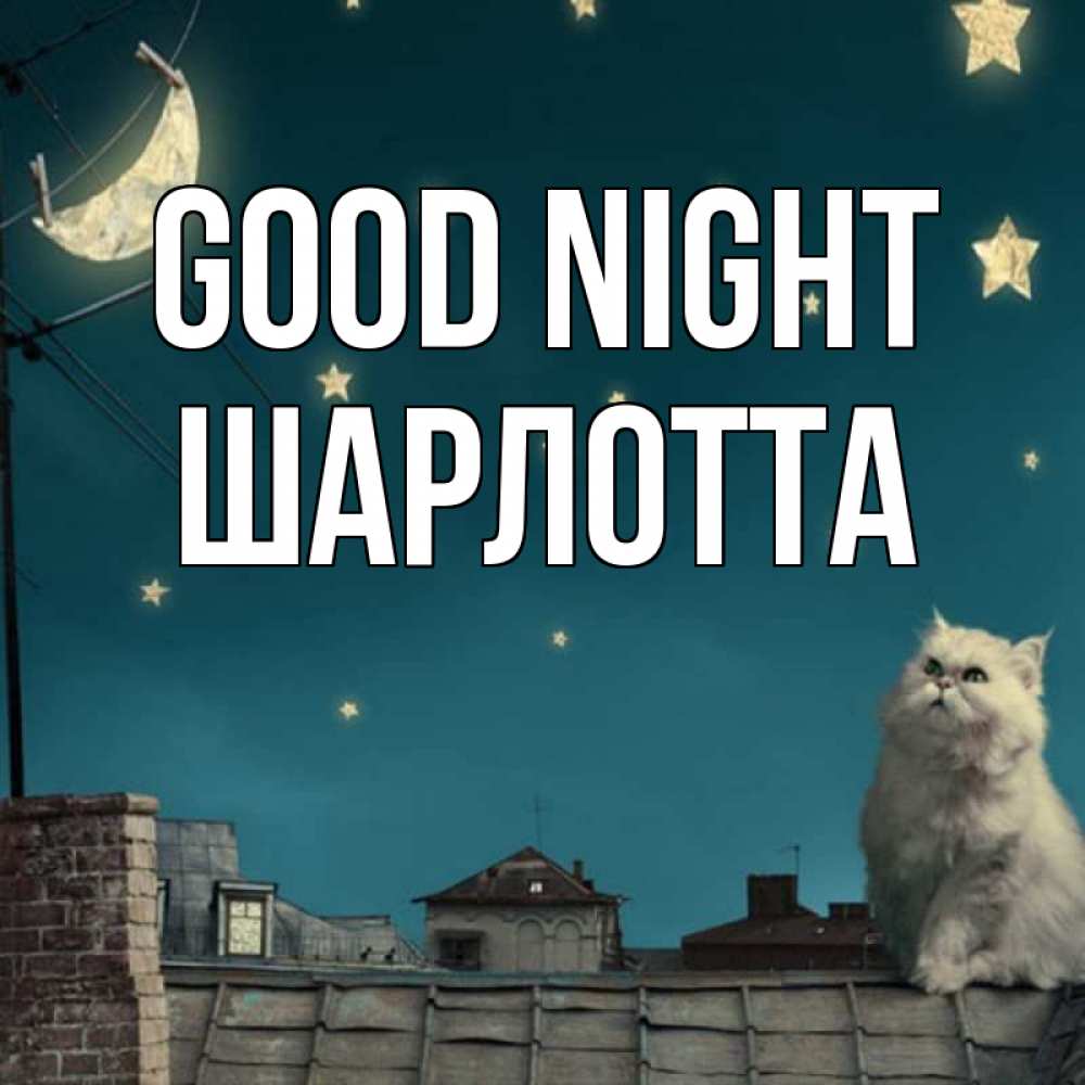 Greetings card с именем, Шарлотта Good night белый кот сидит на крыше Greetings with text for free download 