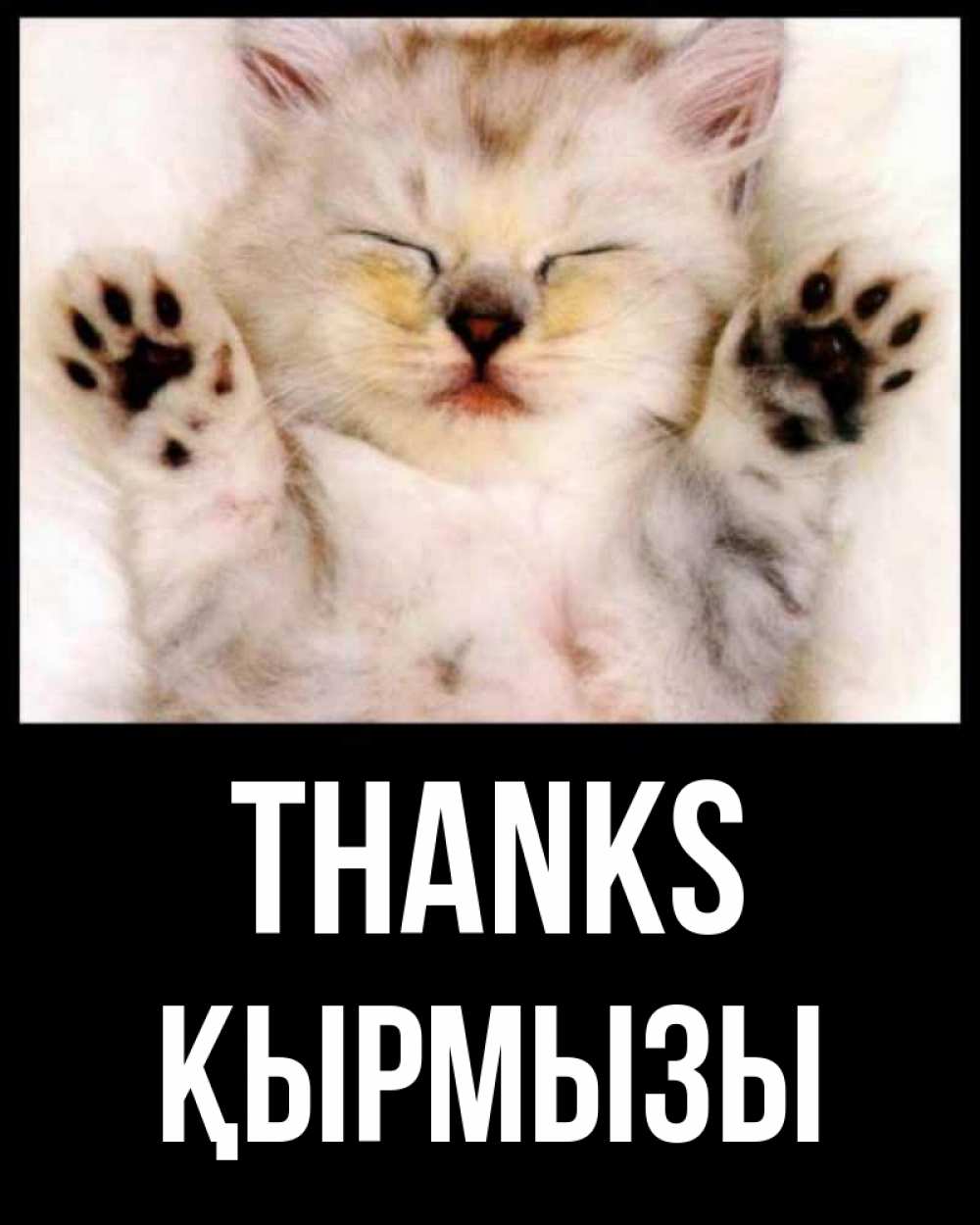 Greetings card с именем, ҚЫРМЫЗЫ Thanks маленький котенок Greetings with text for free download 