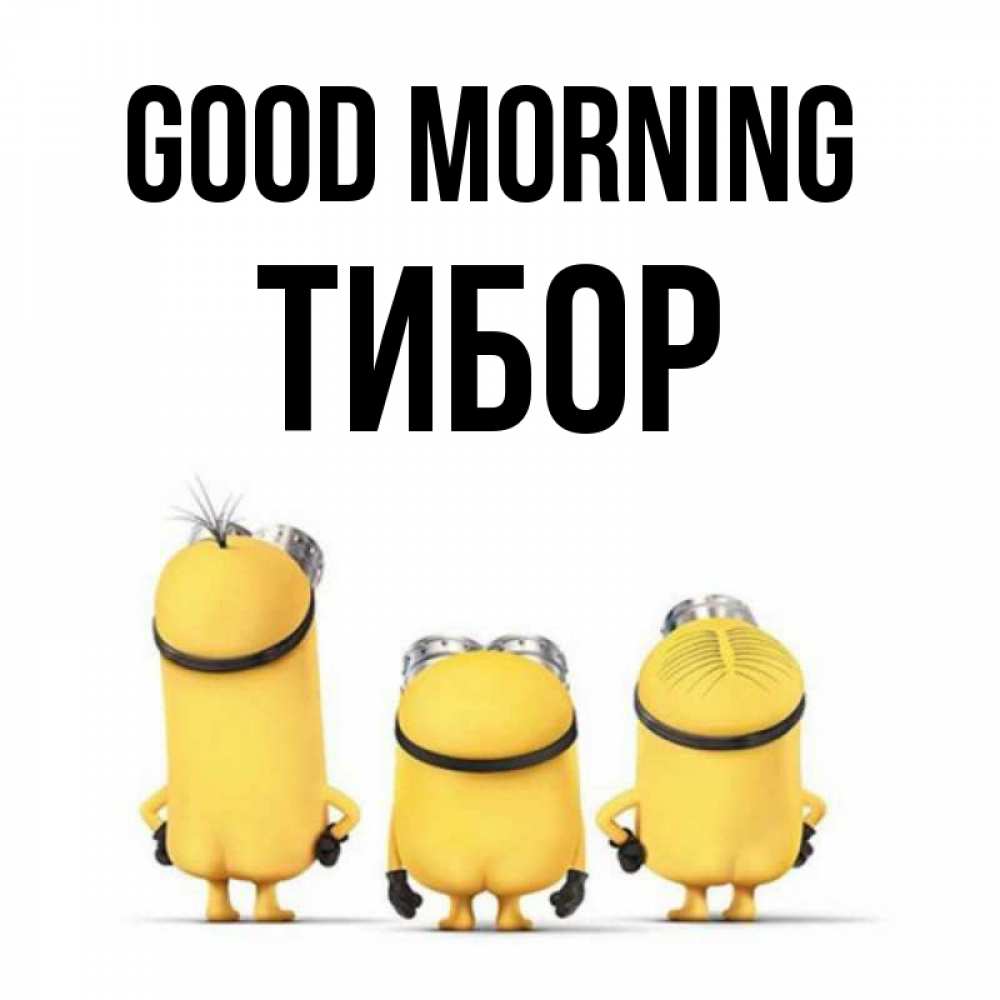 Greetings card с именем, Тибор Good morning подписать открытку онлайн бесплатно Greetings with text for free download 