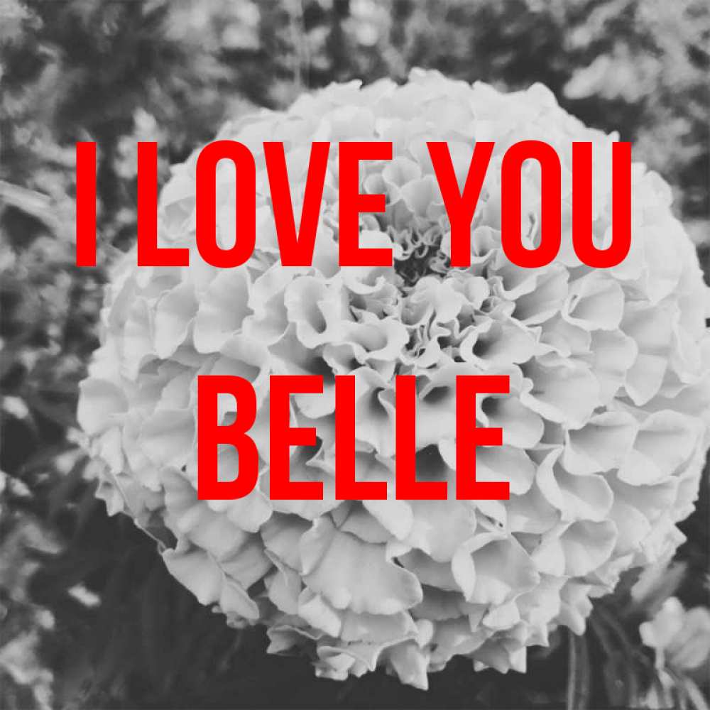 Greetings card с именем, Belle I love you подпись Greetings with text for free download 