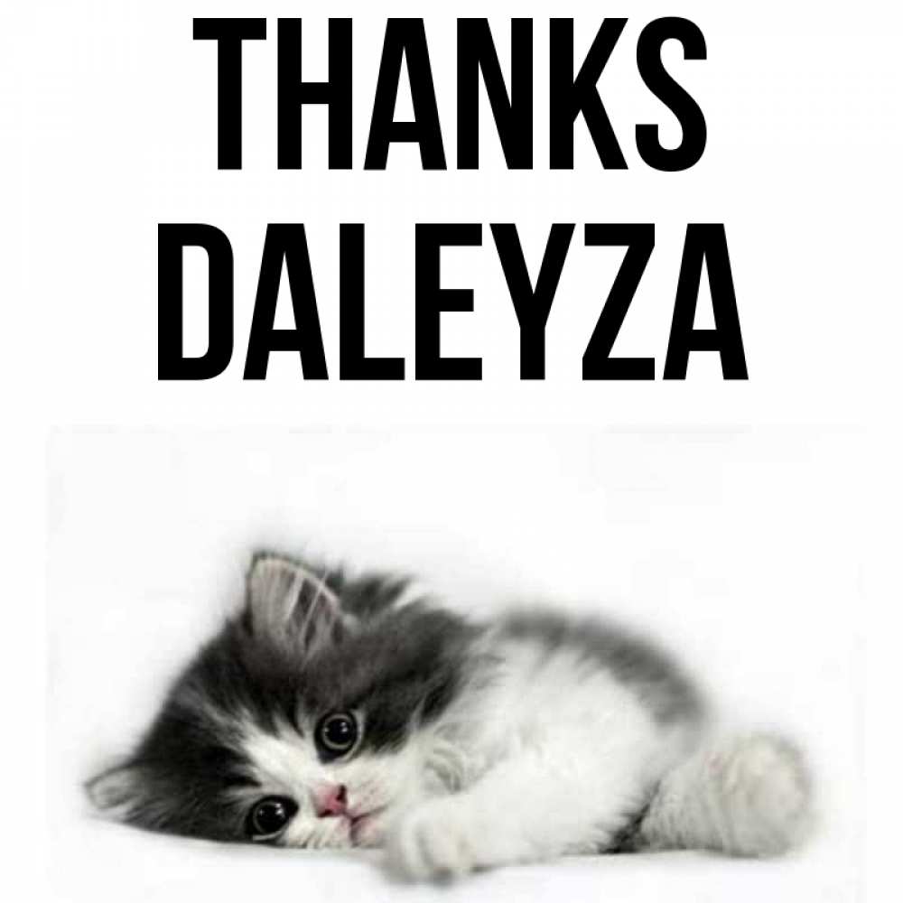 Greetings card с именем, Daleyza Thanks черный и белый кот Greetings with text for free download 