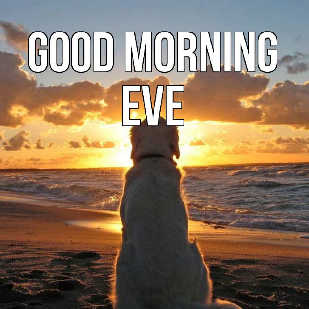 Greetings card с именем, Eve Good morning восход солнца Greetings with text for free download 