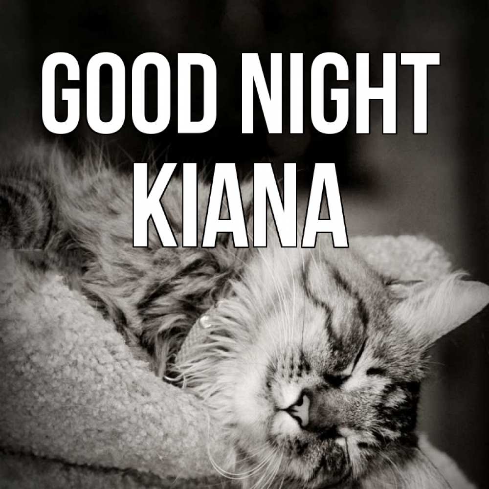 Greetings card с именем, Kiana Good night котярик пушистый Greetings with text for free download 
