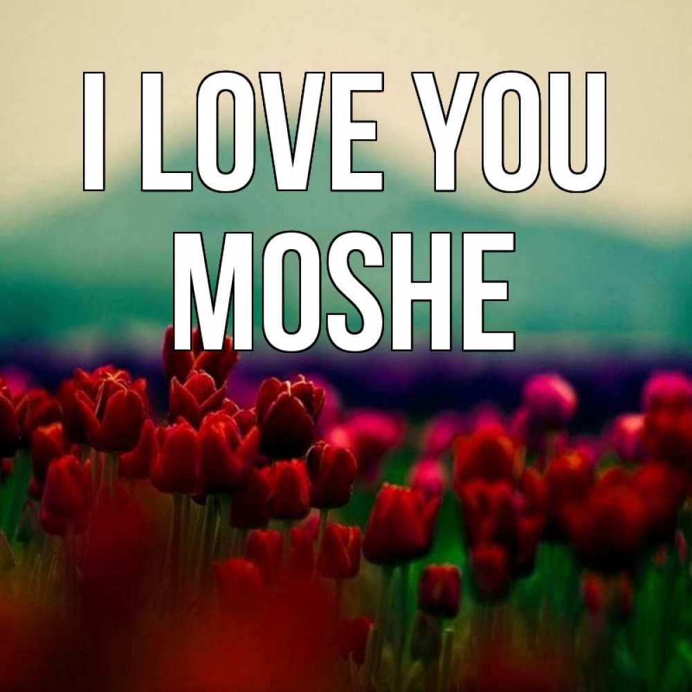 Greetings card с именем, Moshe I love you тюльпаны 4 Greetings with text for free download 