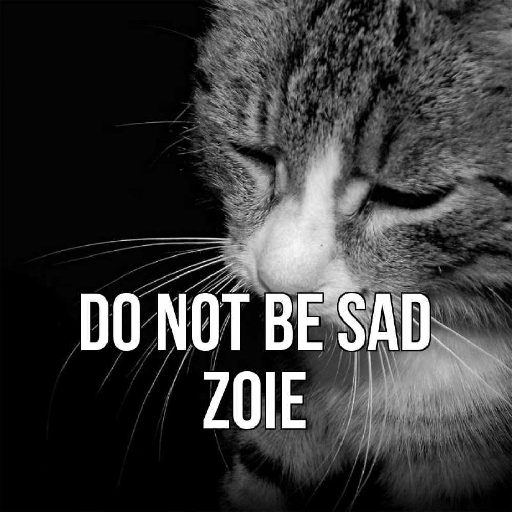 Greetings card с именем, Zoie Do not be sad грустный котик Greetings with text for free download 