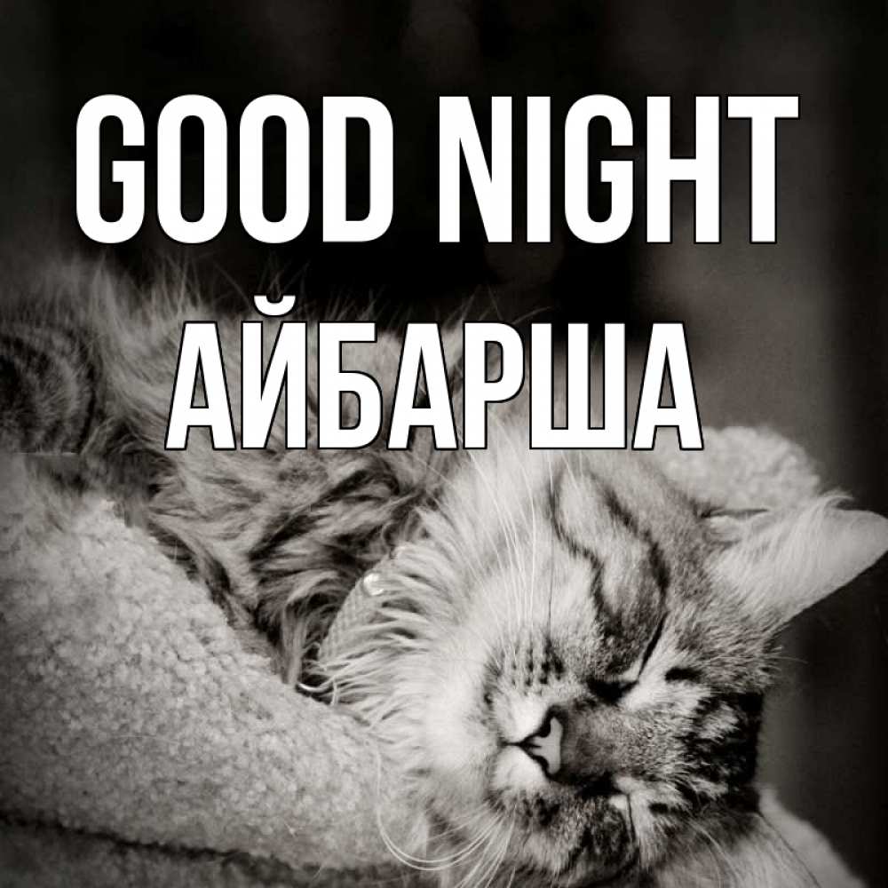 Greetings card с именем, АЙБАРША Good night котярик пушистый Greetings with text for free download 