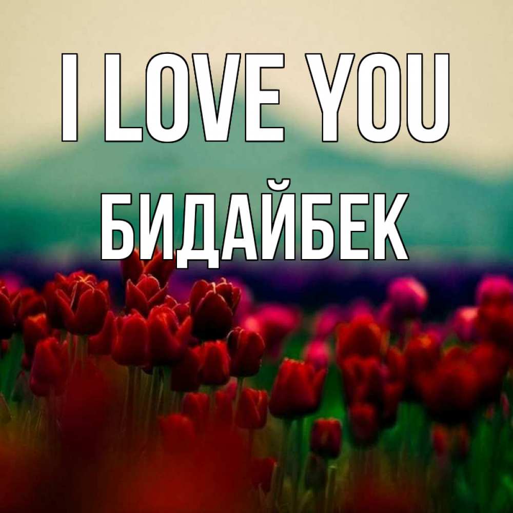 Greetings card с именем, Бидайбек I love you тюльпаны 4 Greetings with text for free download 