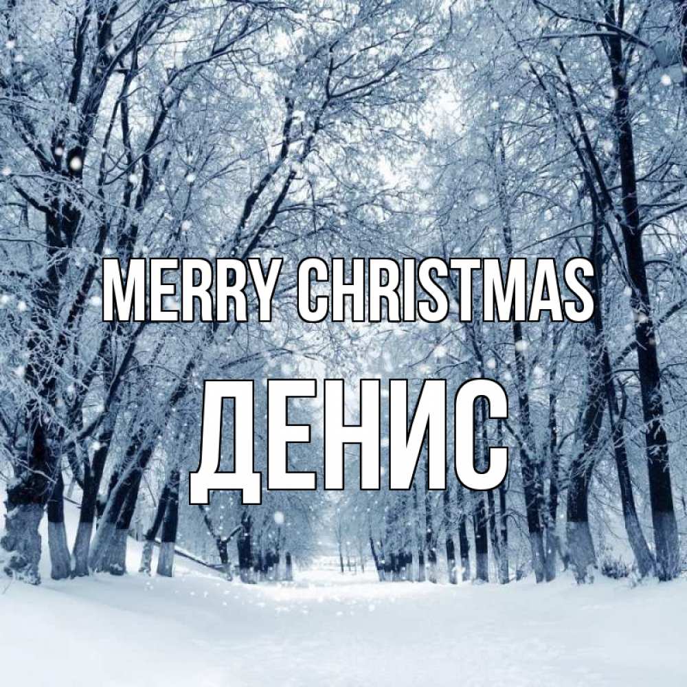Greetings card с именем, Денис Merry Christmas снег, лес, парк Greetings with text for free download 