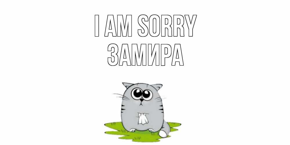 Greetings card с именем, ЗАМИРА I am sorry открытка с котиком просящим прощения Greetings with text for free download 