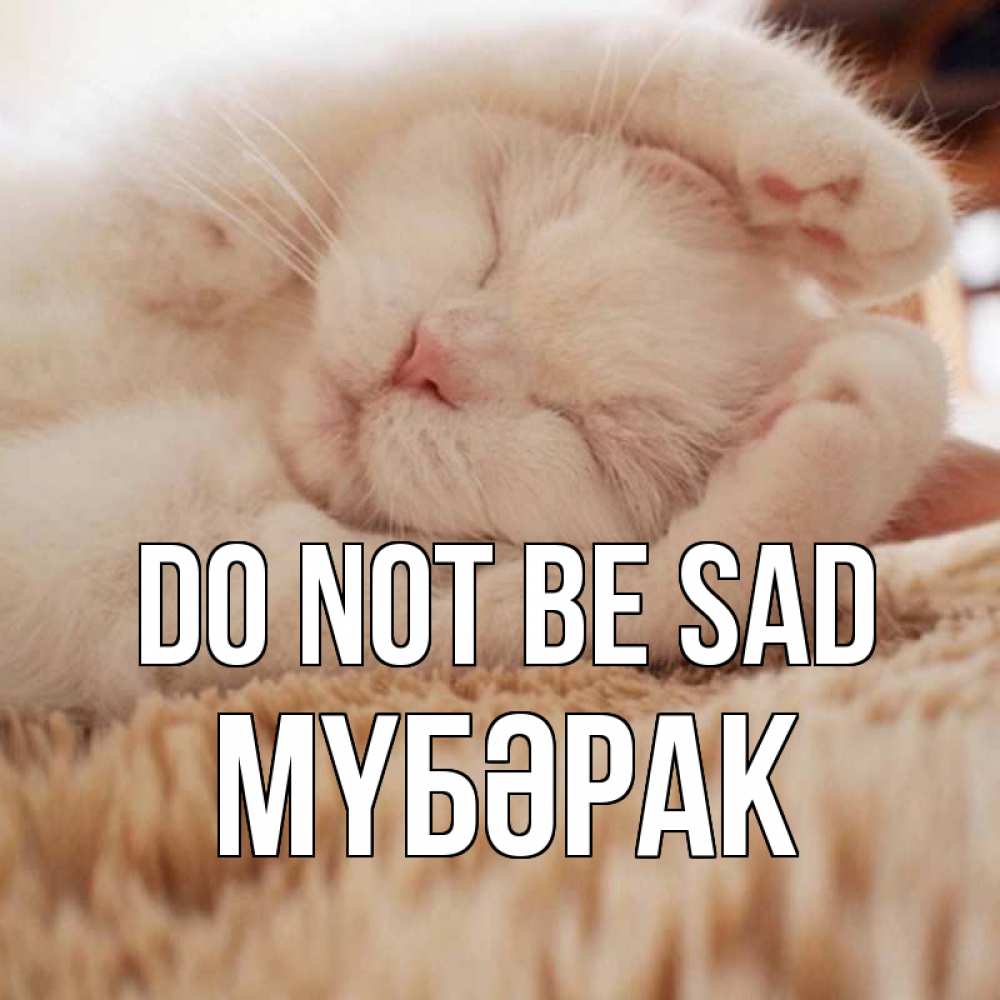 Greetings card с именем, МҮБӘРАК Do not be sad белый кот Greetings with text for free download 
