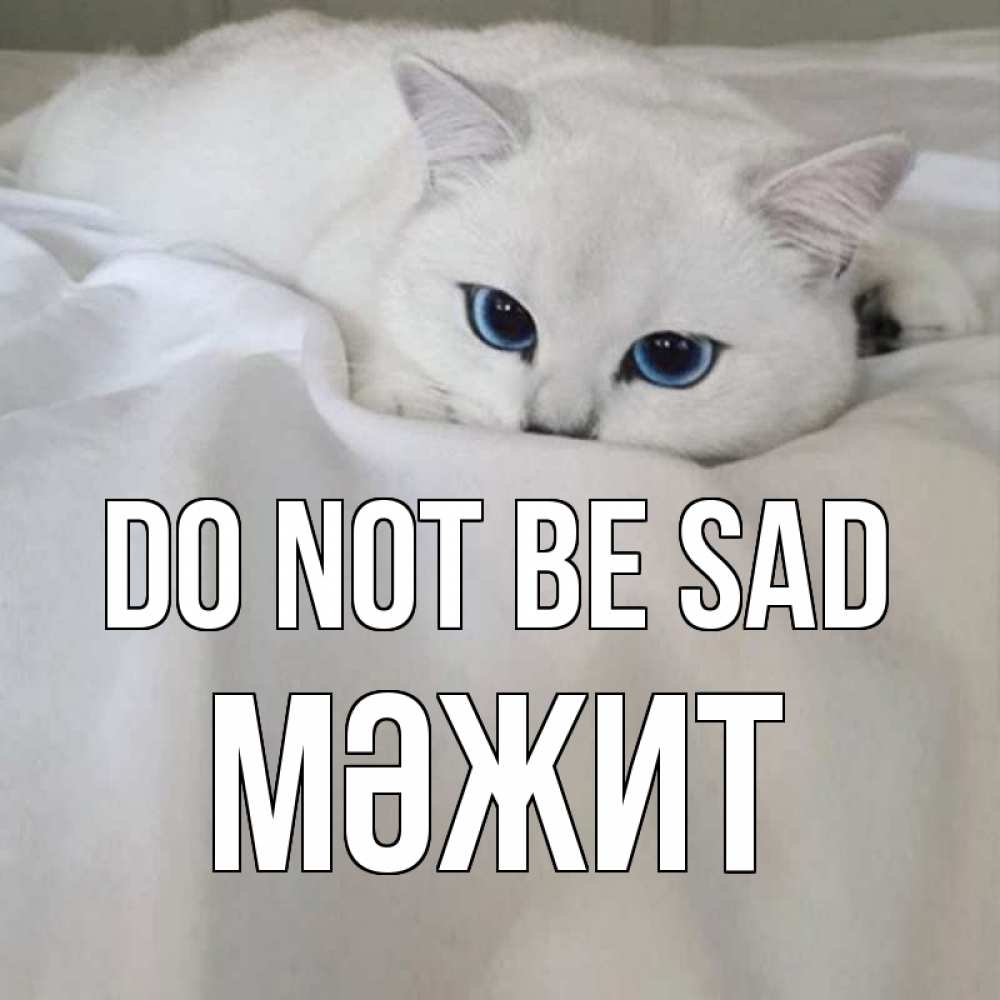Greetings card с именем, МӘЖИТ Do not be sad белый кот с голубыми глазами на белоснежной кровати Greetings with text for free download 