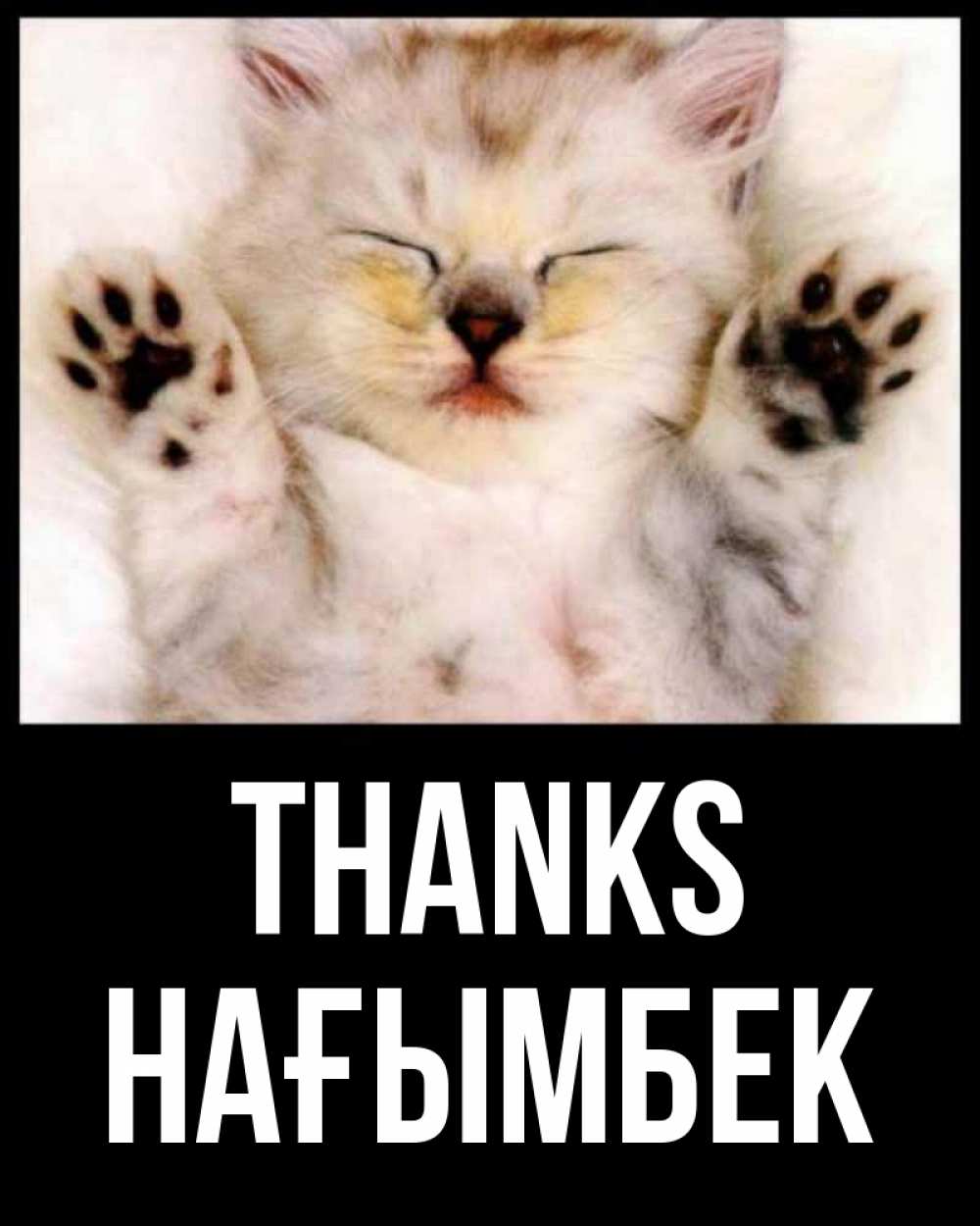 Greetings card с именем, НАҒЫМБЕК Thanks маленький котенок Greetings with text for free download 