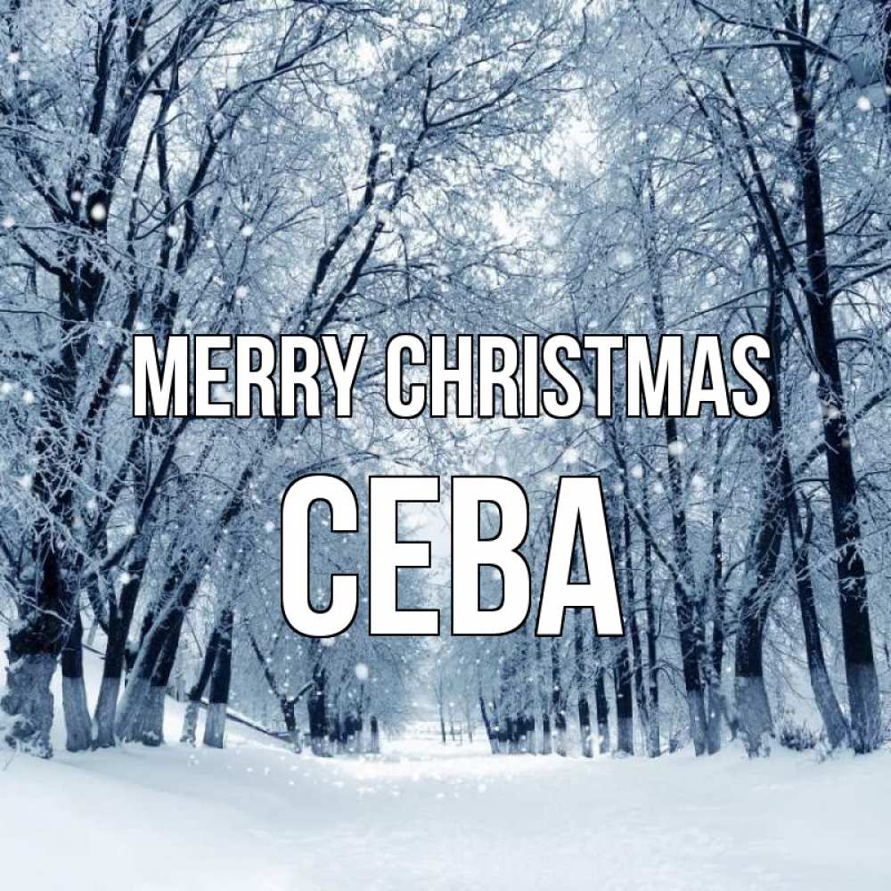 Greetings card с именем, Сева Merry Christmas снег, лес, парк Greetings with text for free download 