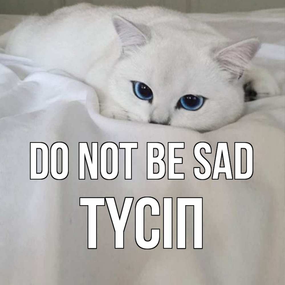 Greetings card с именем, ТҮСІП Do not be sad белый кот с голубыми глазами на белоснежной кровати Greetings with text for free download 