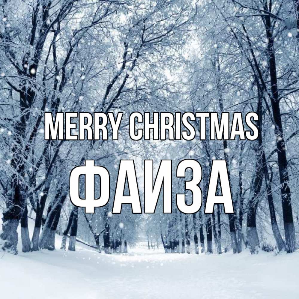 Greetings card с именем, Фаиза Merry Christmas снег, лес, парк Greetings with text for free download 