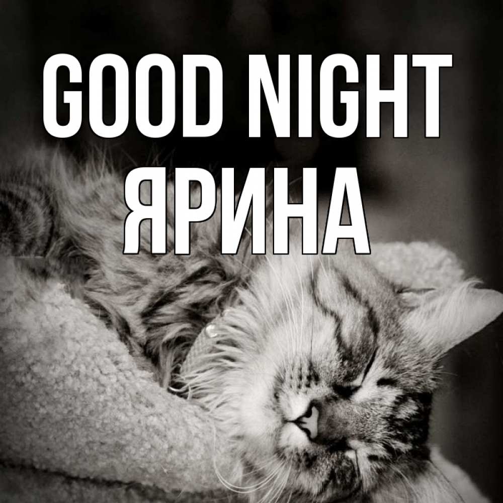 Greetings card с именем, Ярина Good night котярик пушистый Greetings with text for free download 
