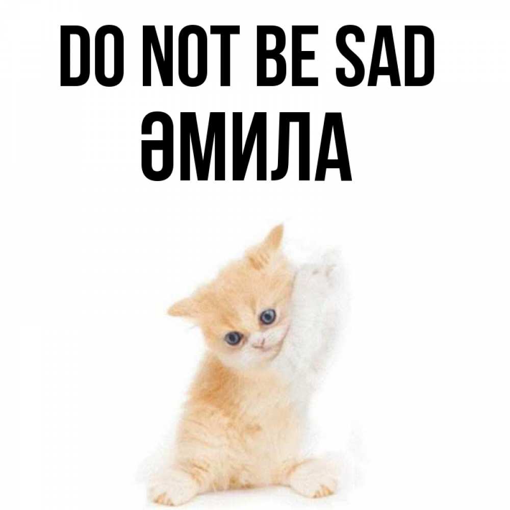Greetings card с именем, ӘМИЛА Do not be sad просящий кот Greetings with text for free download 