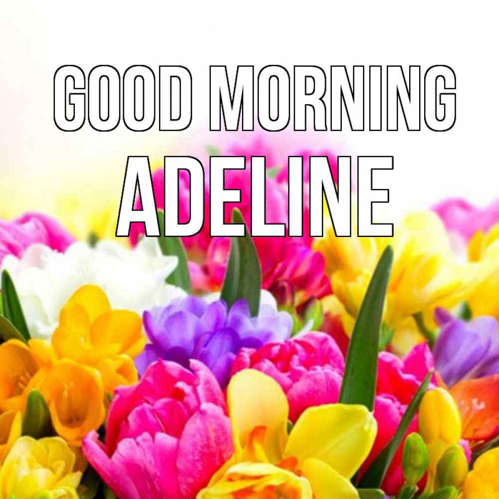 Greetings card с именем, Adeline Good morning создать открытку со свое подписью Greetings with text for free download 