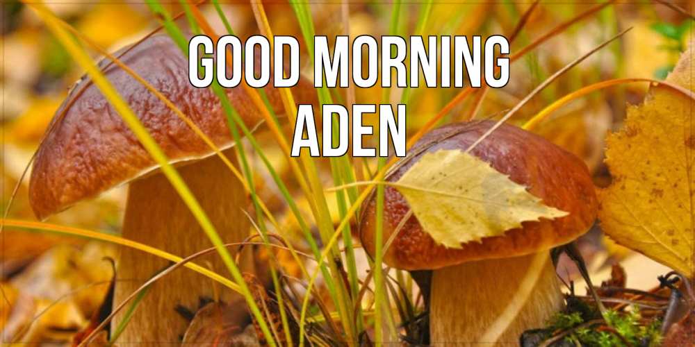 Greetings card с именем, Aden Good morning осенние грибы Greetings with text for free download 
