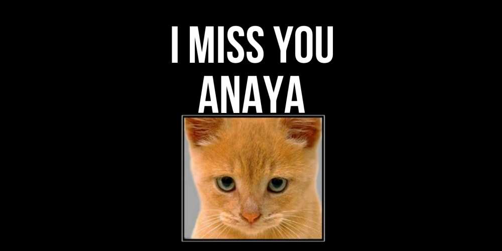 Greetings card с именем, Anaya I miss you открытки рыжий котенок скучает по тебе Greetings with text for free download 