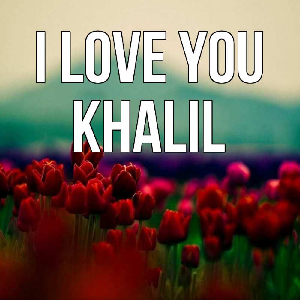 Greetings card с именем, Khalil I love you тюльпаны 4 Greetings with text for free download 