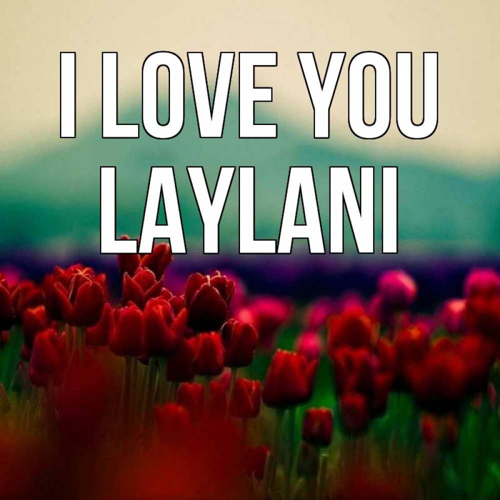 Greetings card с именем, Laylani I love you тюльпаны 4 Greetings with text for free download 