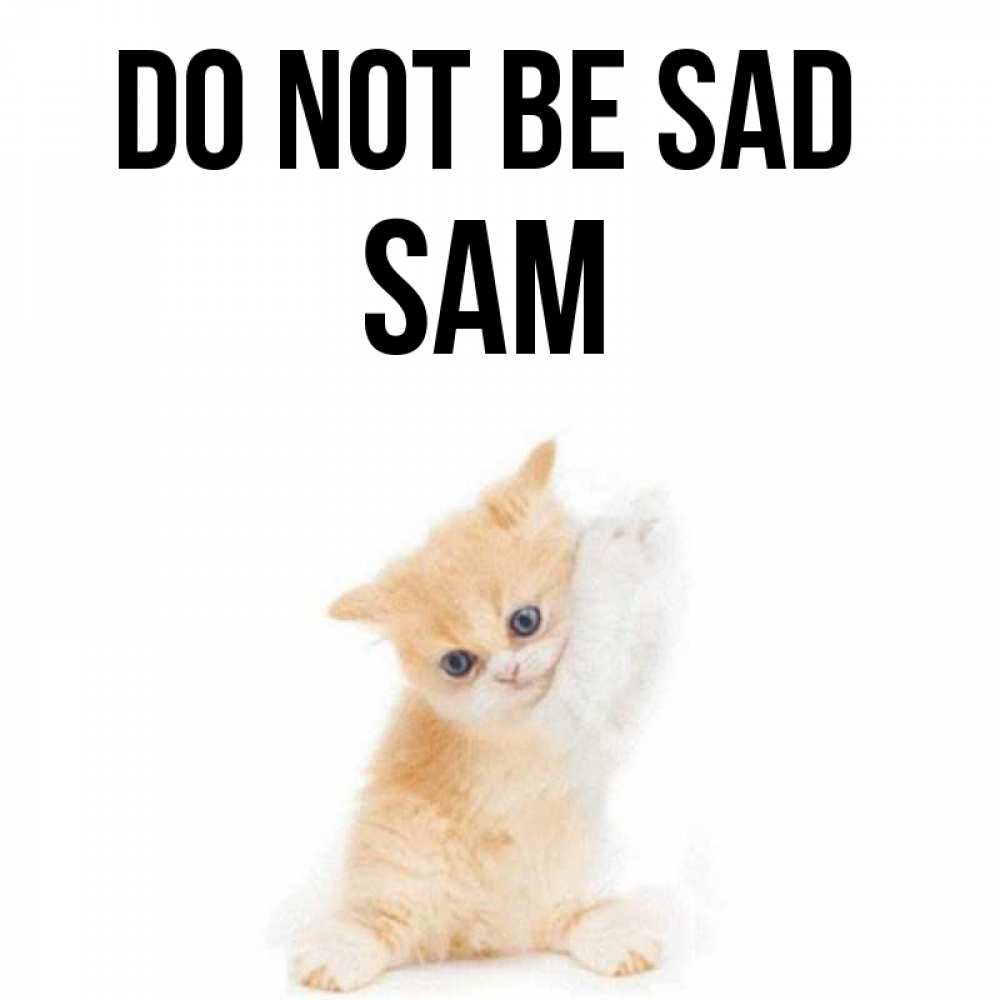 Greetings card с именем, Sam Do not be sad просящий кот Greetings with text for free download 