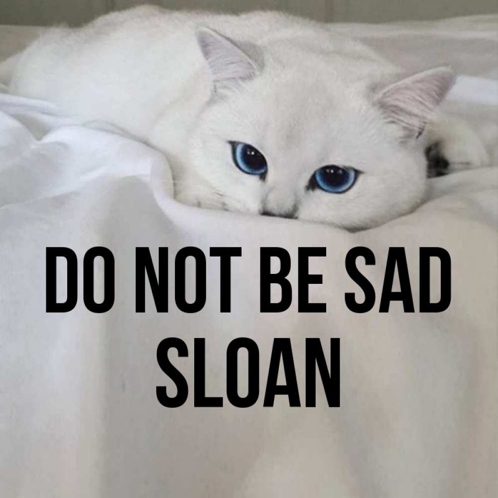 Greetings card с именем, Sloan Do not be sad Голубоглазая кошка Greetings with text for free download 